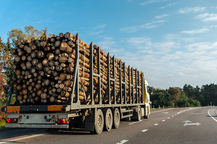 La consommation britannique de granulés de bois attendue au record de 10,35 millions de tonnes