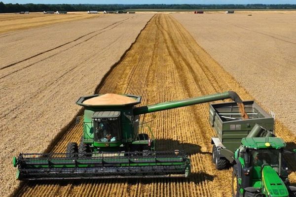 L’Ukraine achève ses récoltes précoces de 2026 avec des rendements en hausse