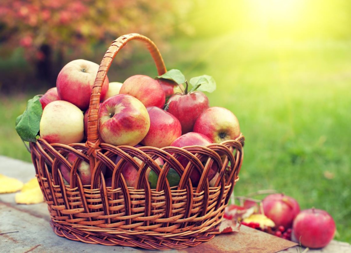 Ukraine exports more than 22,000 tonnes of apples in 2025/26 season