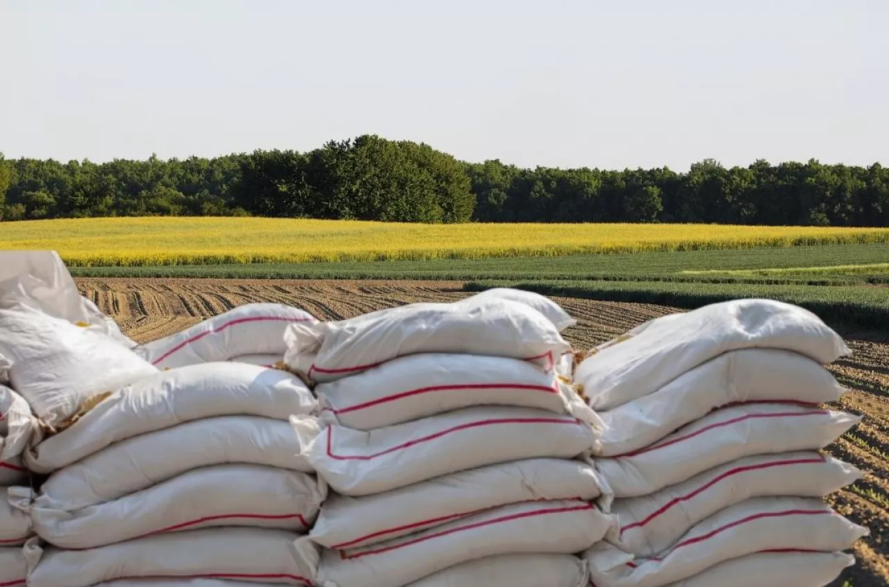 Urea Prices Retreat as Hormuz Supply Hopes Rise and Russia Loses EU Fertilizer Share