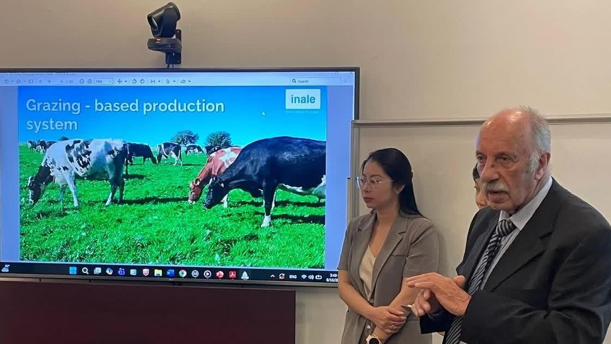 Uruguay Seeks Wider Access to Vietnam’s Beef and Dairy Market