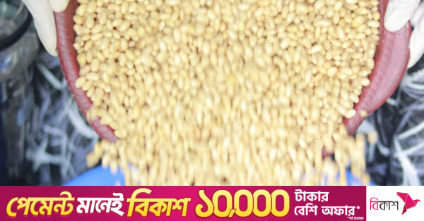 US soybean industry targets Bangladesh as imports and crushing capacity grow