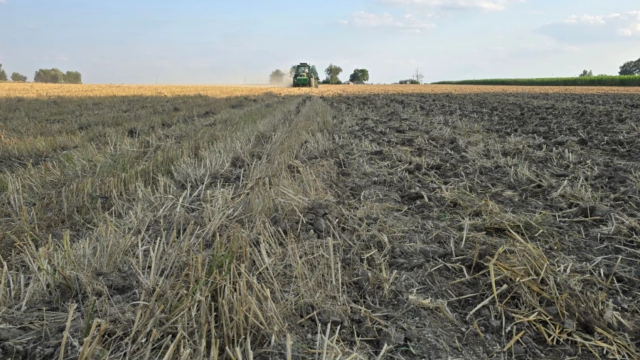USDA raises Romania’s wheat forecast to 12.5 million tonnes as Black Sea risks support prices