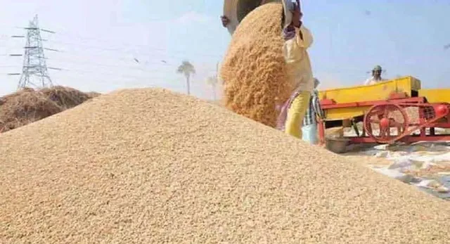 Uttar Pradesh approves ₹200 crore for jute sacks ahead of grain procurement