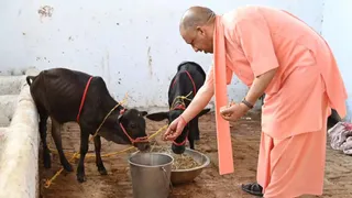 Uttar Pradesh reports record milk output of 38.8 million tonnes