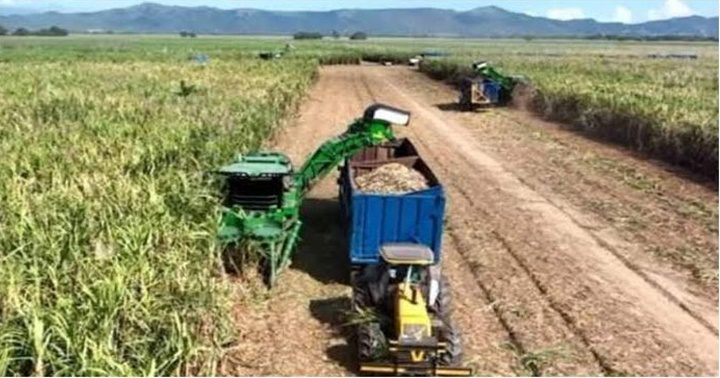 Produtores venezuelanos pedem bloqueio ao açúcar brasileiro antes da safra