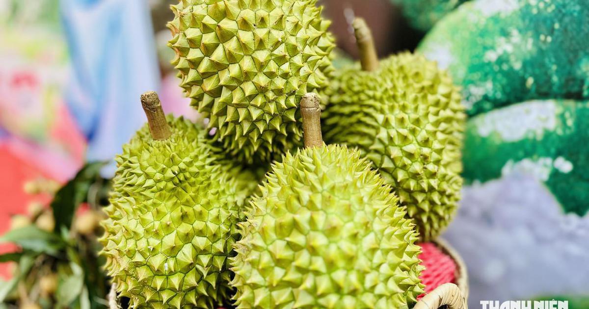Vietnam becomes China’s fastest-growing top fruit and vegetable supplier