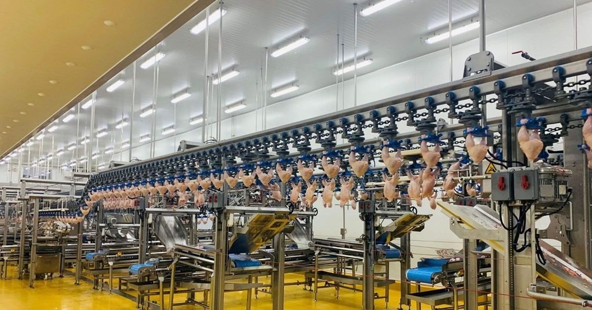 Vietnã exporta pela primeira vez frango processado para a Coreia do Sul