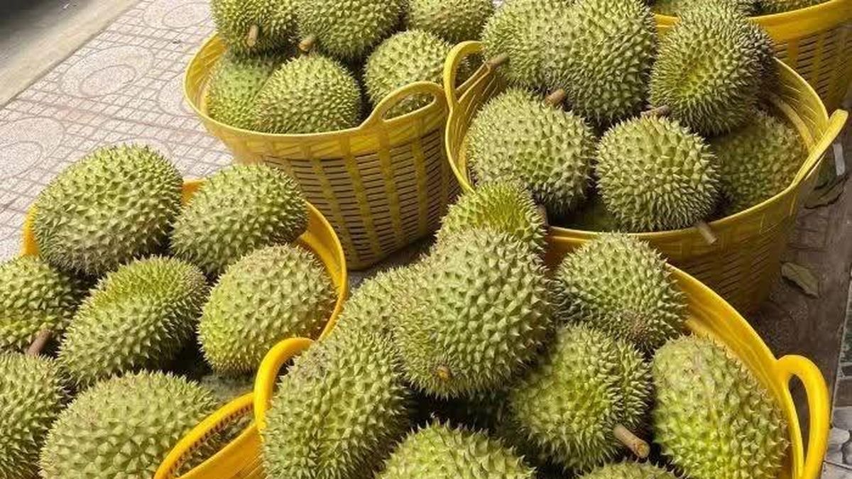 Vietnam’s fruit and vegetable exports forecast to maintain growth in Q3