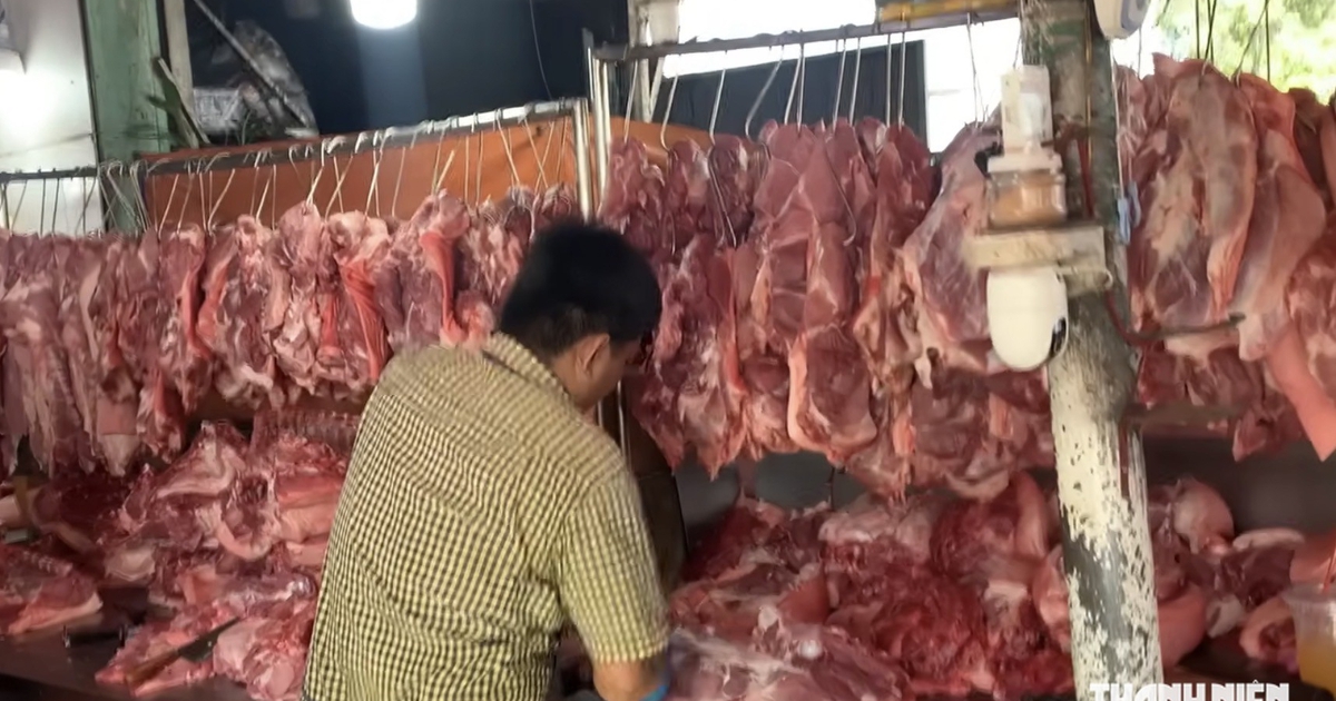 Vietnam hog prices fall to VND 56,000-58,000 per kg as supply rises