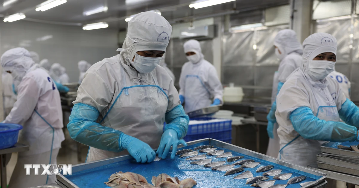 Vietnam leads Cambodia’s seafood suppliers with exports above $33 million