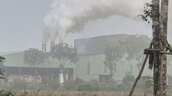 Vietnamese Wood Pellet Plants Face Pollution Scrutiny as Asian Biomass Demand Grows