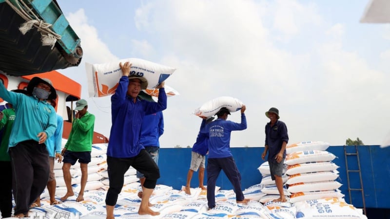 Les exportations de riz vietnamien dépassent 6 millions de tonnes, mais les prix pèsent sur les recettes