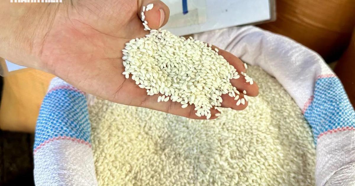Vietnam shifts rice sourcing as Cambodian volumes fall and Lao sticky rice gains