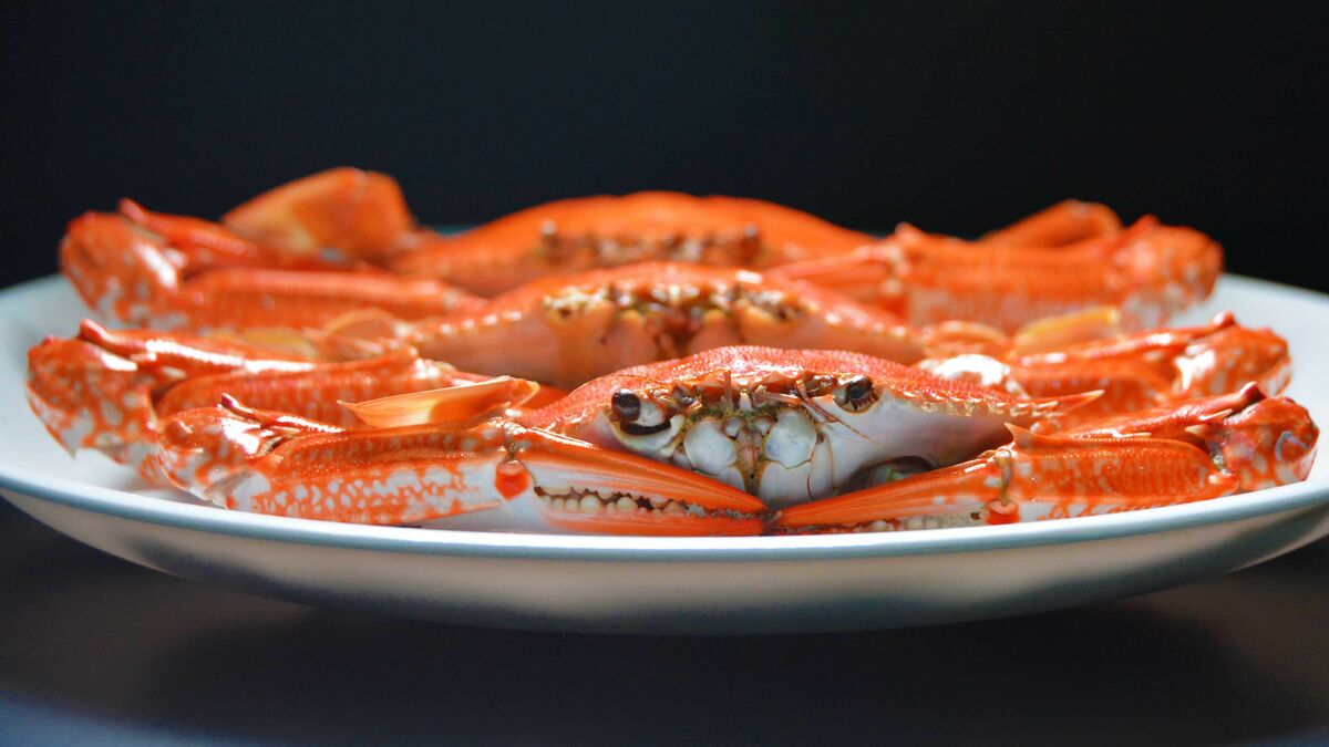 Vietnamese swimming crab exports to US rise 74% in first half of 2026