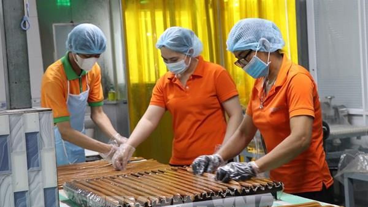 Виньлонг намерен повысить отдачу от 122 870 га кокосовых плантаций