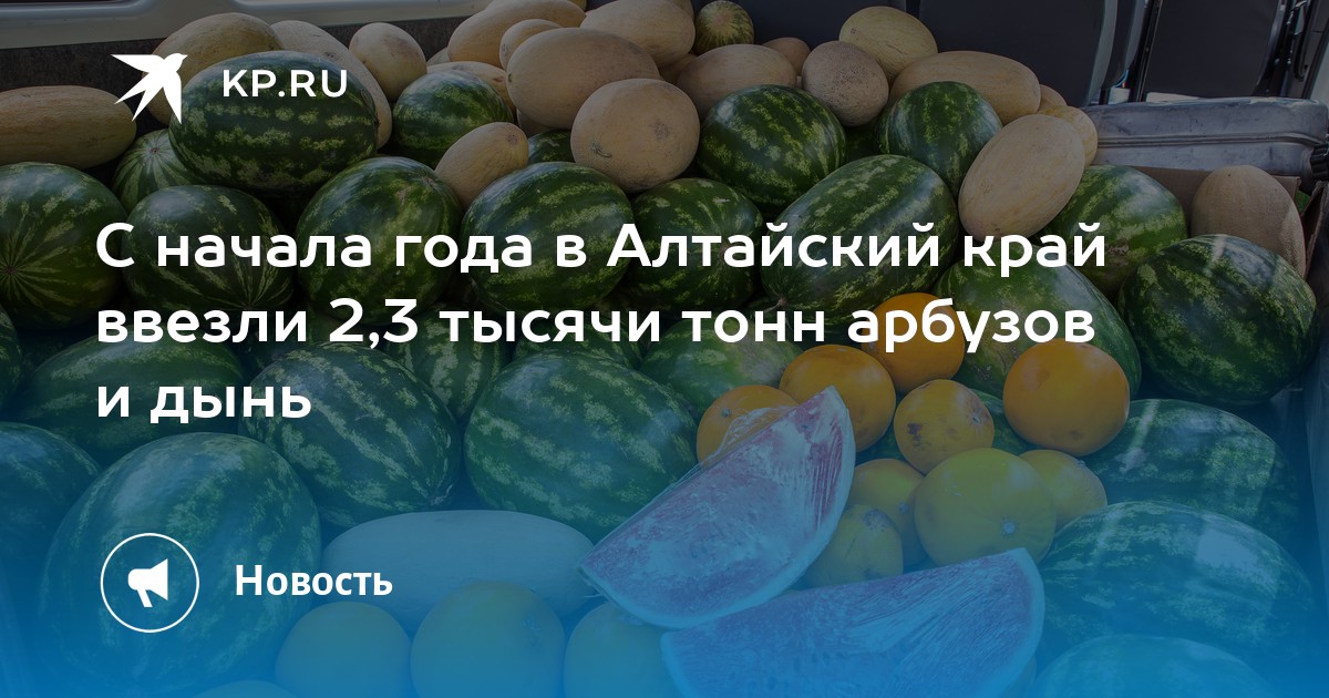 Watermelon and melon imports reach 9,100 tonnes in Kuban and 2,300 tonnes in Altai