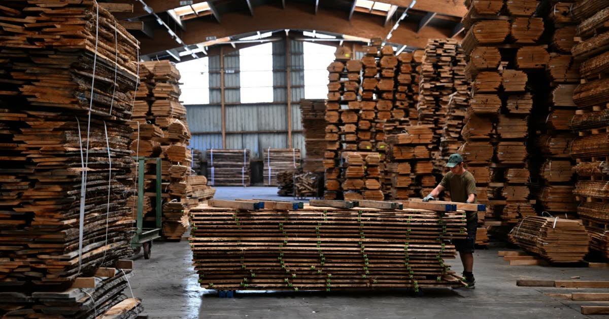 Wildfires pressure France’s €3.6 billion timber sector after 42,000 hectares burn