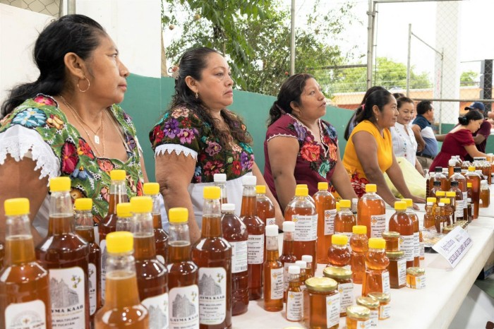 Yucatán lidera produção mexicana de mel com 9.893 toneladas em 2025