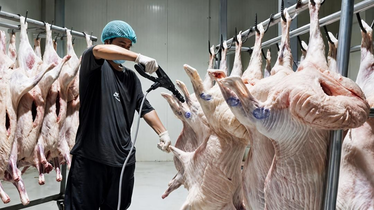 Afghanistan startet Schaffleischexporte aus Balch nach Usbekistan und Tadschikistan