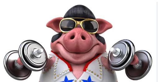 Argentiniens Schweinefleischproduktion steigt um 12,4%, Exporte um 74%