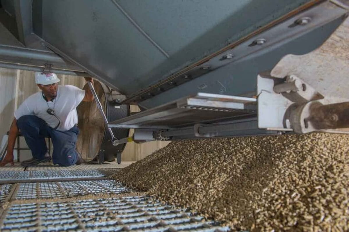 Las 10 plantas argentinas de pellets buscan crecer en la agroindustria