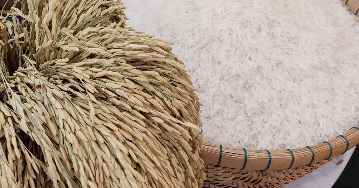 Preços de exportação do arroz asiático sobem com fracas chuvas na Índia