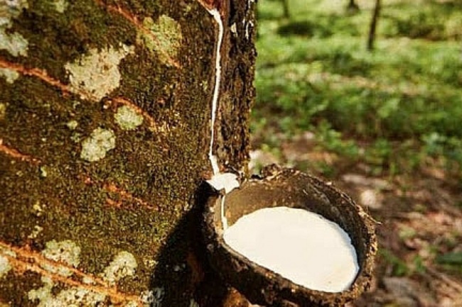 Preços da borracha asiática recuam com fraca procura global a anular apoio da oferta