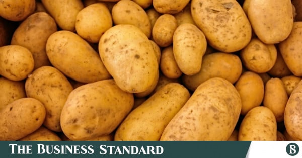 Le Bangladesh étudie l’exportation de pommes de terre et d’oignons au Sri Lanka