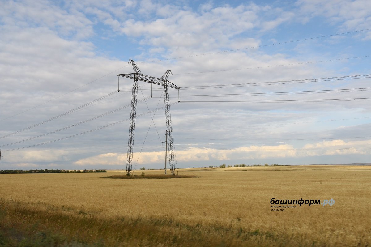 Baskortostán eleva sus envíos internos de grano a más de 387.500 toneladas