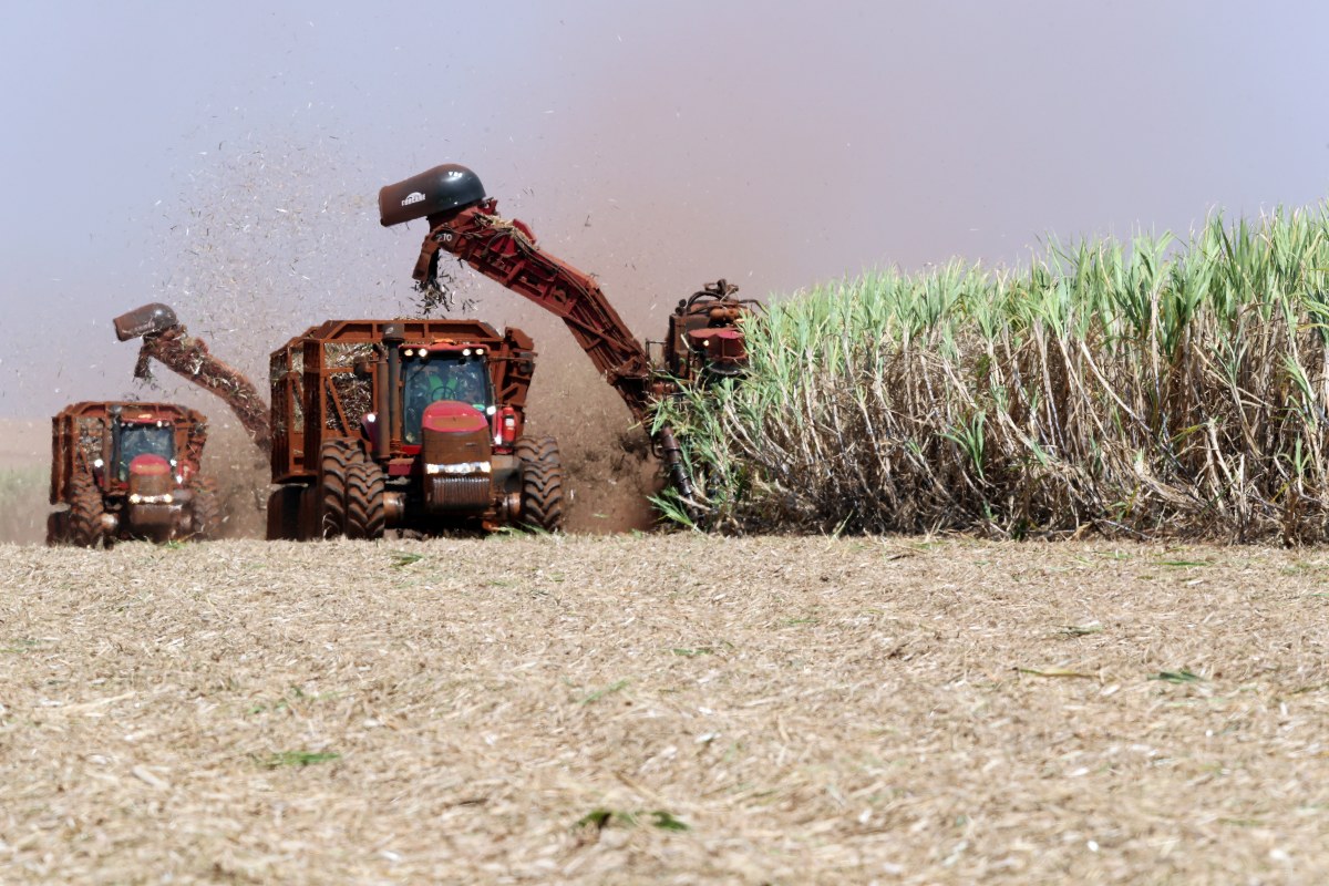 Le Brésil débloque 270 millions R$ pour les planteurs de canne du Nordeste