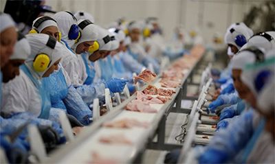 El pollo refrigerado supera al cerdo en Brasil por primera vez en 22 años