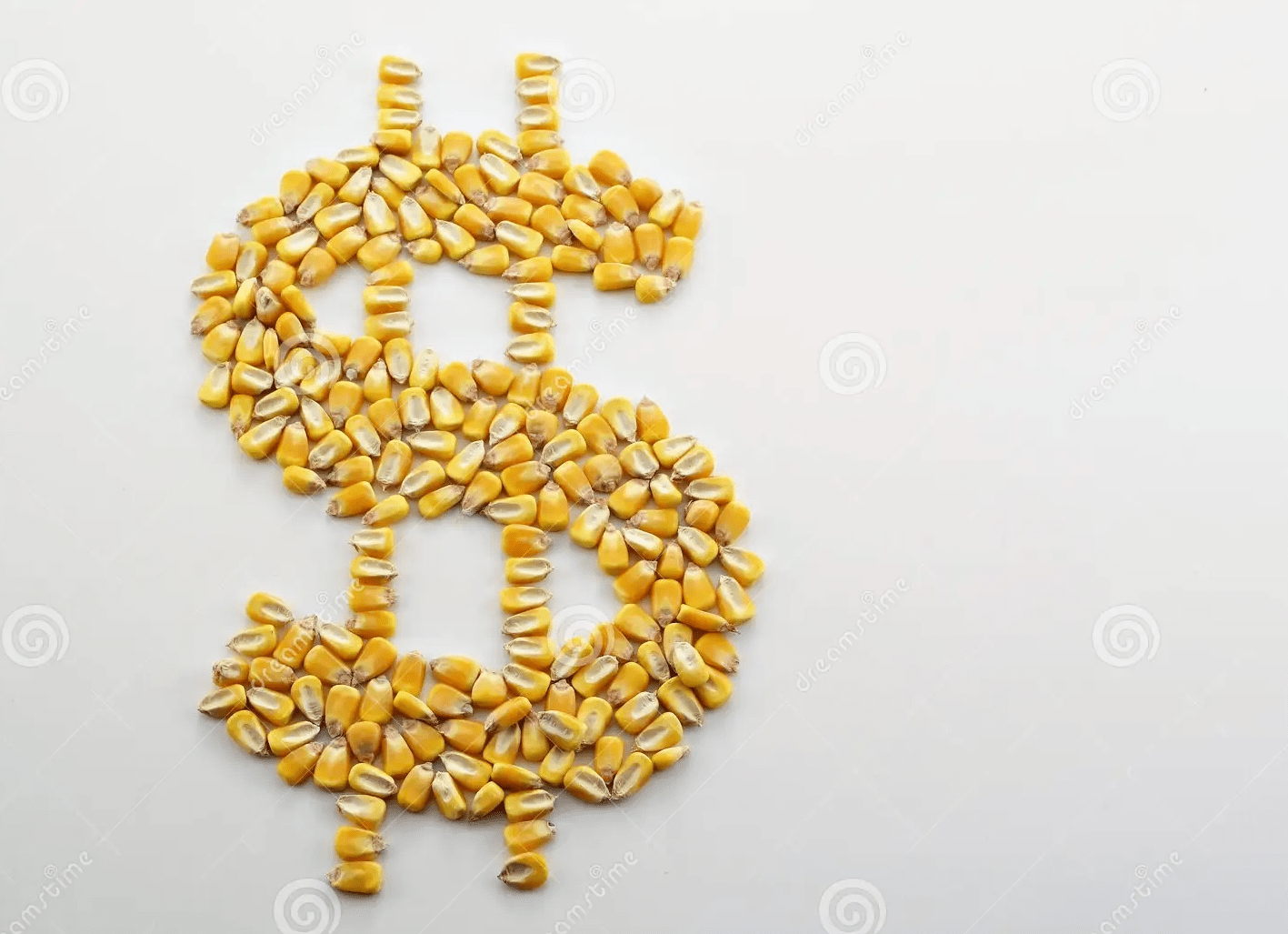 Le marché brésilien du maïs devient prudent alors que les semis 2026/27 progressent