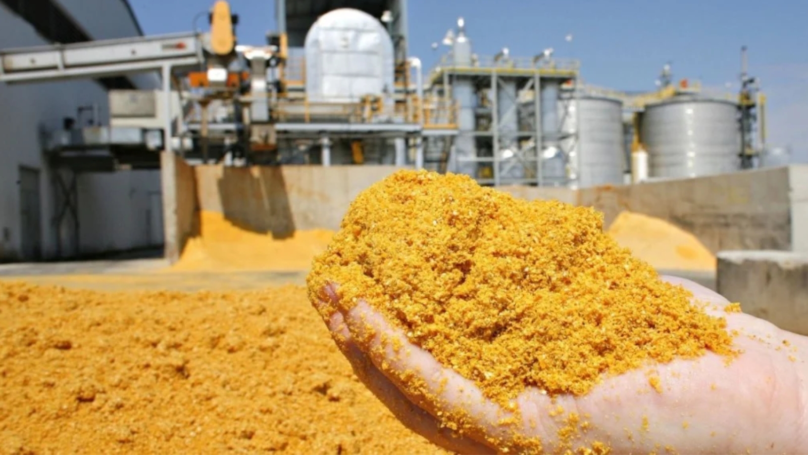 La producción brasileña de DDG podría superar los 15 millones de toneladas en 2030, con China y Chile abiertos al coproducto