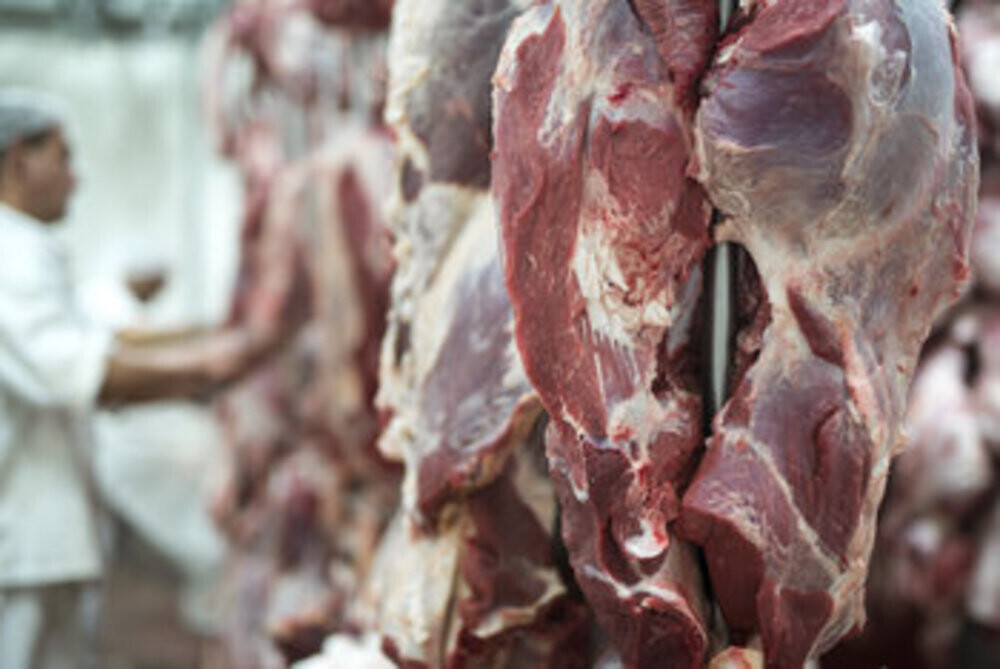 Brazil’s meat output to reach 34.26 million tonnes in 2027 as beef supply contracts