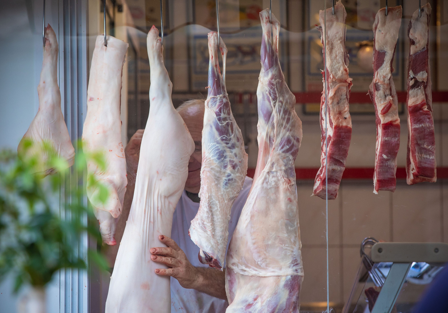 54 Tonnen brasilianisches Geflügelfleisch erreichten Kroatien vor dem EU-Einfuhrverbot