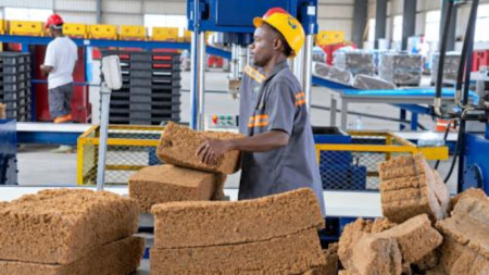 Kamerun steigt bei Kautschuk, Kakaomasse und Bananen trotz Exportrückgang