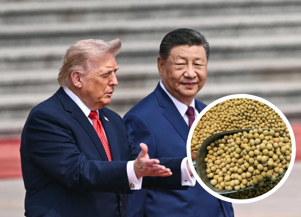 China kauft rund 1 Million Tonnen US-Sojabohnen vor Xi Jinpings Washington-Besuch