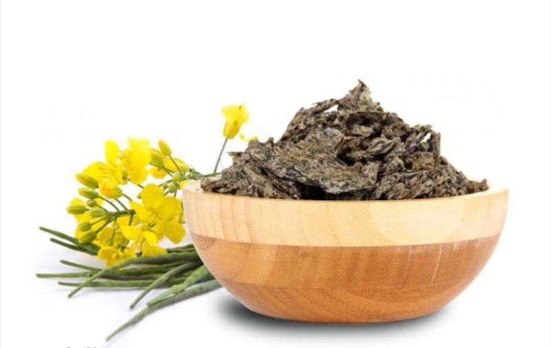 China setzt auf Rapsschrot, da Schwarzmeer-Störungen die Sonnenblumenschrot-Lieferungen bremsen