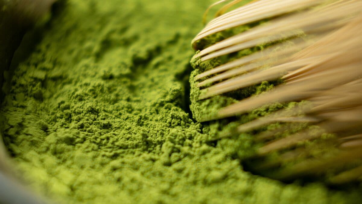 Le matcha chinois est exporté vers 54 pays et territoires, dont le Japon