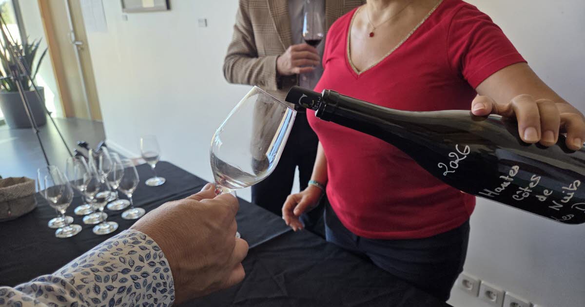 Crémant-Absatz 58 Prozent über 2016 – französische Erzeuger warnen vor Nachahmern