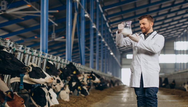 Kroatien importiert 60% seiner Milch – Zahl der Höfe sinkt, Produktion steigt um 6%