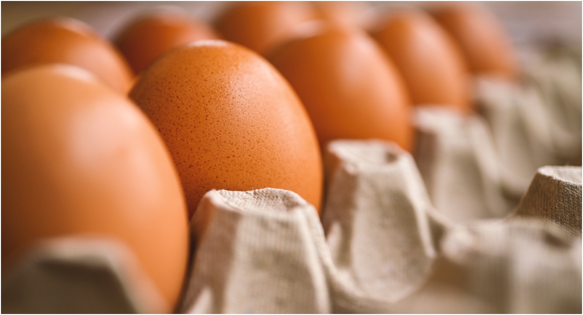 Croacia retira huevos de clase A tras detectar Salmonella Enteritidis en la granja productora
