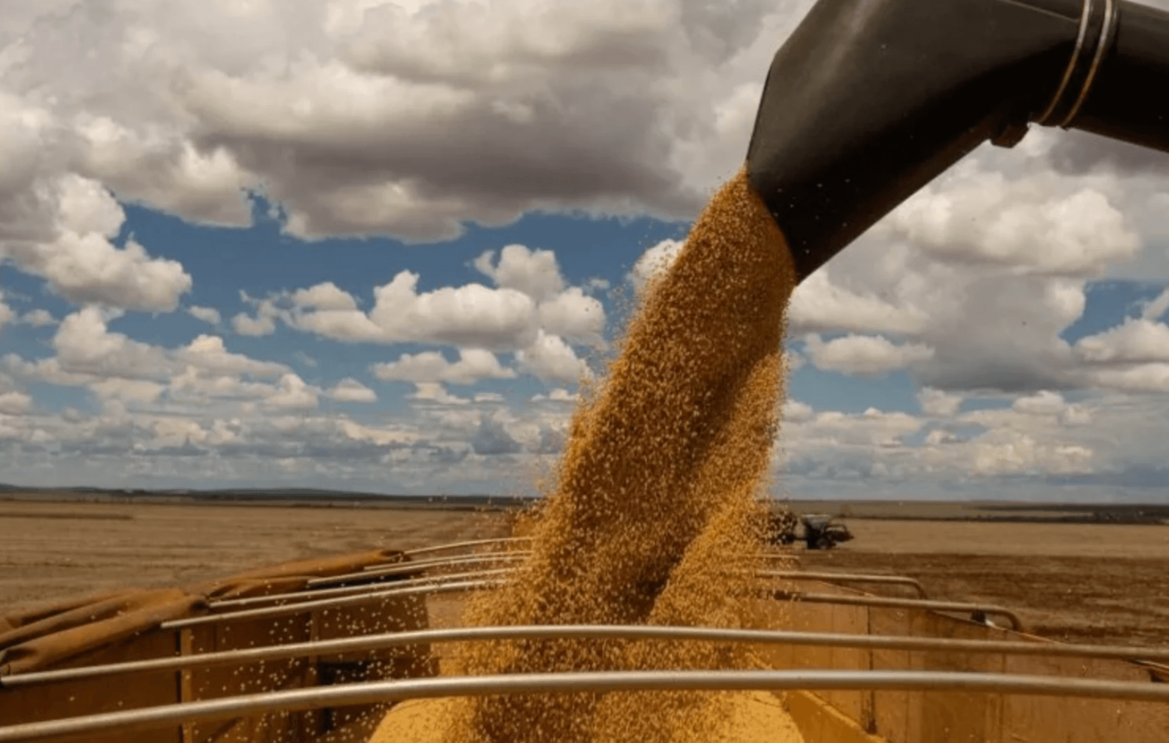 El petróleo y la soja elevan el superávit comercial de Brasil a 7.390 millones de dólares
