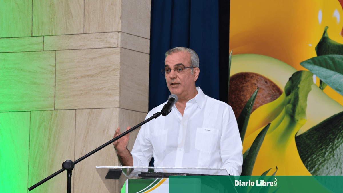 Dominican Republic presses US to accept rice protections in DR-CAFTA dispute