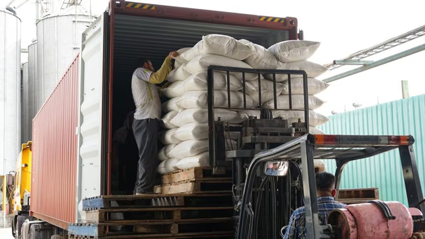 Les exportations de riz de l'Équateur vers la Colombie dépassent 41 000 tonnes à fin août