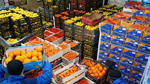 Ägyptens Agrarexporte erreichen 7,2 Millionen Tonnen, Zitrusfrüchte führen