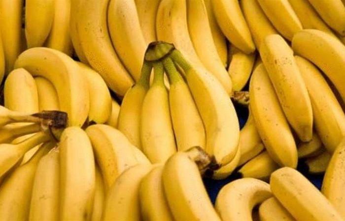 Ägyptens Beschränkungen für den Bananenanbau stoßen auf Kritik