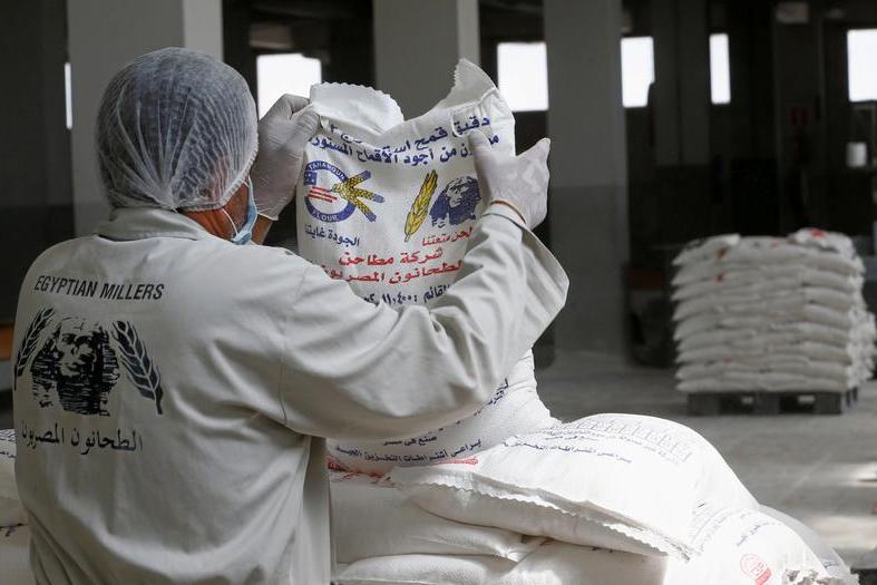 L’Égypte devient le cinquième exportateur mondial de farine de blé en 2025