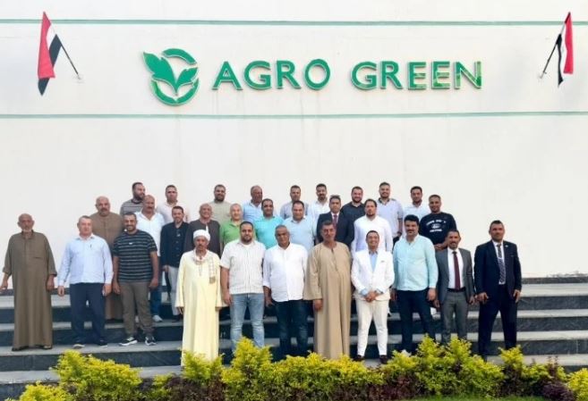 Ägyptens Süßkartoffelbranche vereinbart Mindestpreis von 7 EGP je kg
